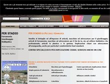 Tablet Screenshot of ferstadio.com